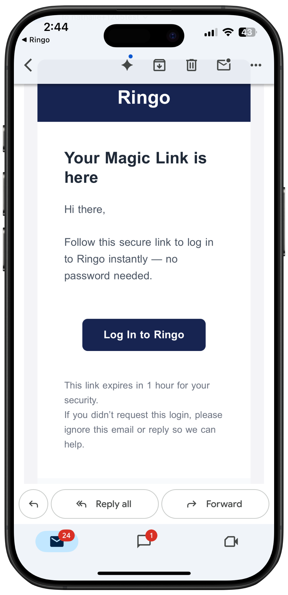Screenshot on how to receive magic link from Ringo on email
