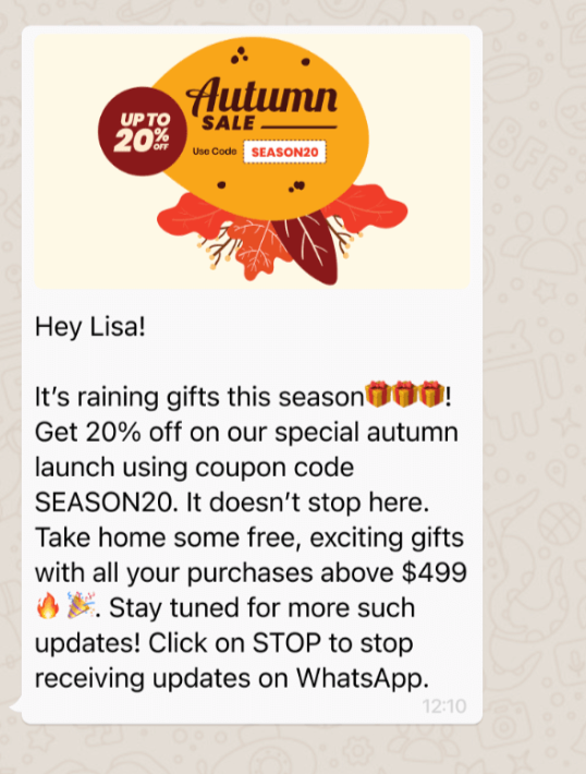 Screenshot showing how media type of content appears on WhatsApp chat